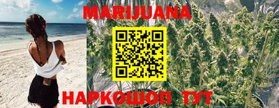 индика Бузулук
