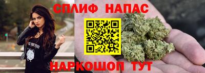 индика Бузулук