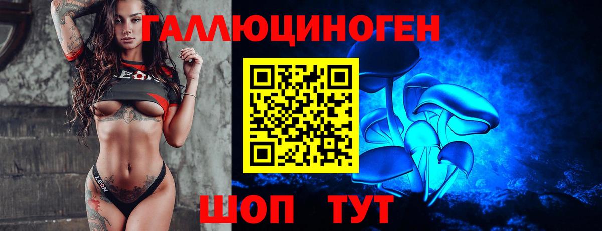 Галлюциногенные грибы Psilocybe  Вход с VPN  Псилоцибиновые грибы Psilocybine cubensis  Самара 