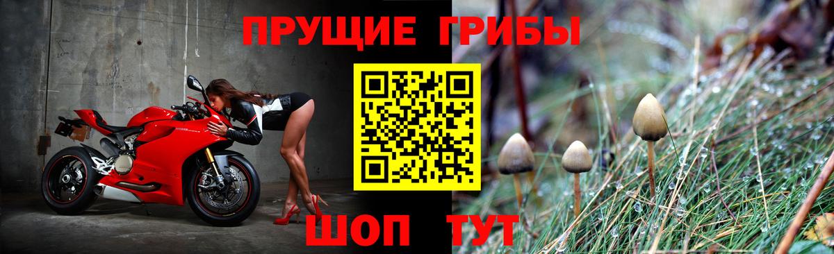 Галлюциногенные грибы мицелий Самара